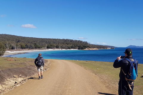 Maria Island National Park - Day Walk And Picnic Lunch - Darwin Holiday 14