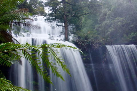 Mt. Field National Park And Bonorong Wildlife Park - Darwin Holiday 1