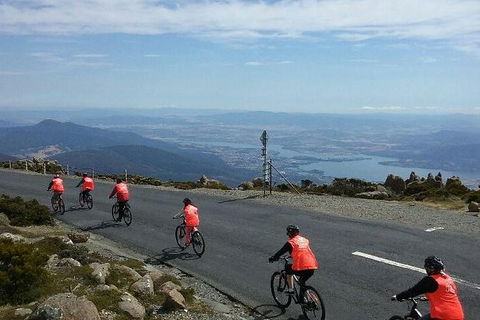 Mount Wellington Descent Cycling Tour Departs Hobart - Darwin Holiday 7