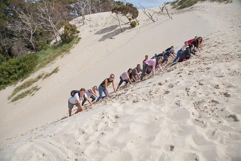 6-Day Tasmanian Explorer Adventure Tour From Hobart - Darwin Holiday 3