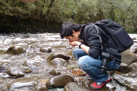 3 Day Tasmanian Wild West Coast Tour From Hobart To Launceston - Darwin Holiday 6