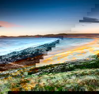Full-Day Guided Bruny Island Tour from Hobart - Darwin Holiday