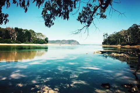 Full-Day Guided Bruny Island Tour From Hobart - Darwin Holiday 1