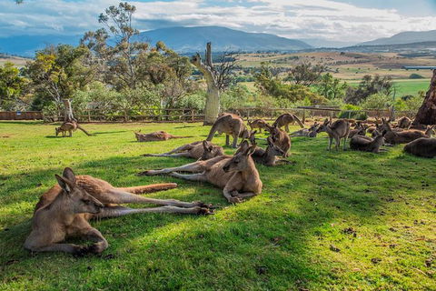 2 Day - Two Of Tasmania's Best Tour - Darwin Holiday 1