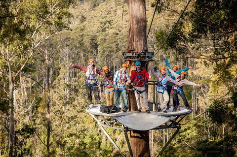 Hollybank Wilderness Adventure - Zipline Tours - Darwin Holiday 0