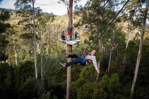 Hollybank Wilderness Adventure - Zipline Tours - Darwin Holiday 3