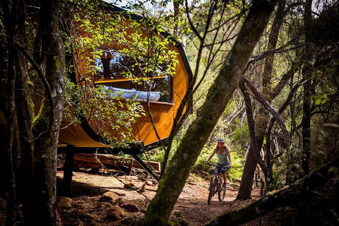 Blue Derby Pods Ride Experience 3-Day Mountain Bike Adventure In Exclusive Pods - Darwin Holiday 2