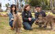 Bonorong Wildlife Park And Richmond Afternoon Tour From Hobart - thumb 0