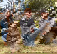 Bonorong Wildlife Park and Richmond Afternoon Tour from Hobart - Darwin Holiday