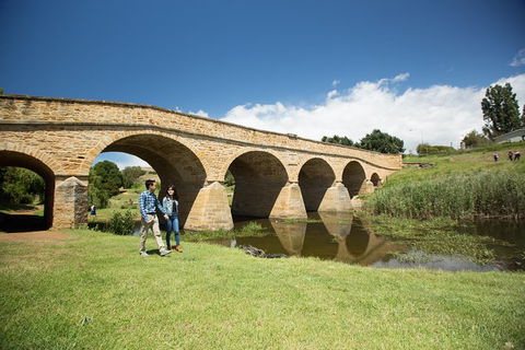 Bonorong Wildlife Park And Richmond Afternoon Tour From Hobart - Darwin Holiday 5