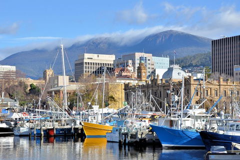 Hobart Shore Excursion: Scenic Highlights Tour - Darwin Holiday 7