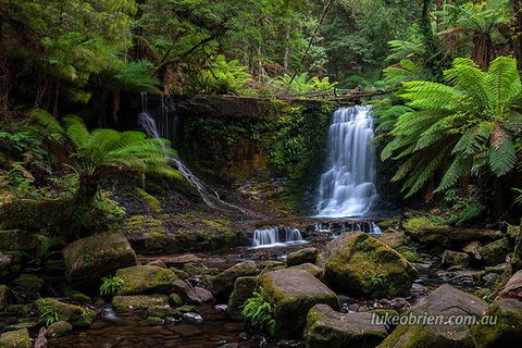 Mt Field And Styx Valley Photography Tour - Darwin Holiday 3