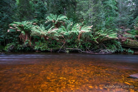 Mt Field And Styx Valley Photography Tour - Darwin Holiday 7
