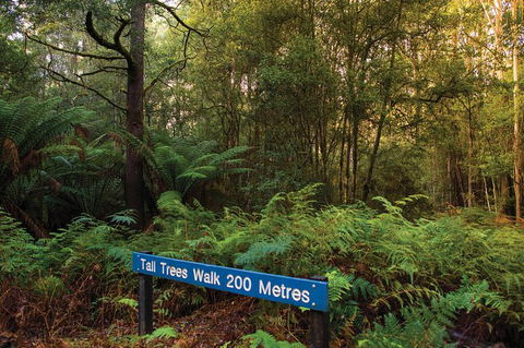 Small-group Tour From Hobart: Derwent River Valley And Coal River Valley - Darwin Holiday 7