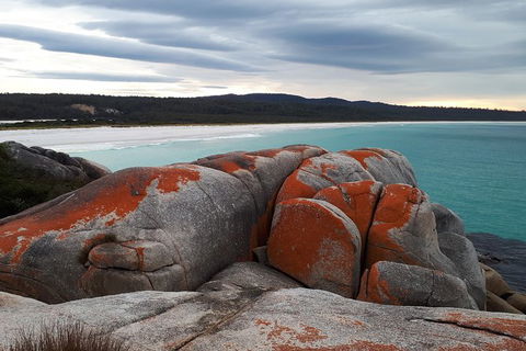 3-Day Bay Of Fires Photography Workshop From Hobart - Darwin Holiday 3