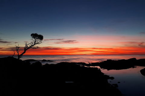 3-Day Bay Of Fires Photography Workshop From Hobart - Darwin Holiday 5