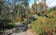 Small-group Tour From Hobart: Native Flora And Fauna, Incl. Royal Bot. Gardens - thumb 11