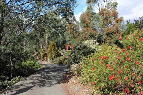 Small-group Tour From Hobart: Native Flora And Fauna, Incl. Royal Bot. Gardens - Darwin Holiday 11
