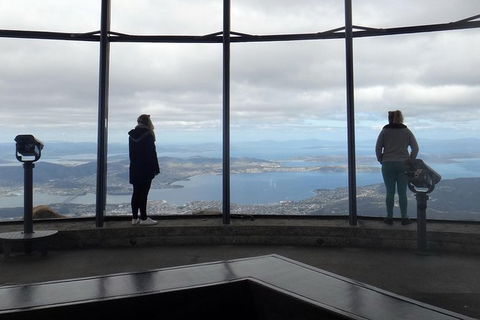 Kunany / Mt Wellington Explorer Bus - 2 Hour Return Tour - Darwin Holiday 8