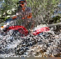 Quad Bike 2-Hour Adventure Freycinet National Park - Darwin Holiday