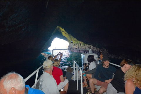 Maria Island Cruise + Walk. Renowned Day Tour With Drinks And Guided Walk - Darwin Holiday 11