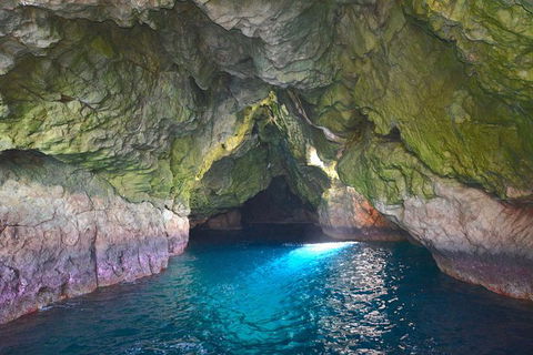 Maria Island Cruise + Walk. Renowned Day Tour With Drinks And Guided Walk - Darwin Holiday 5