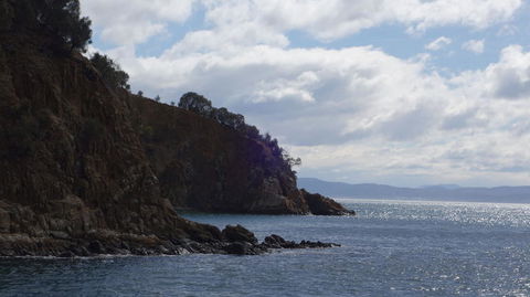 The Peppermint Bay Lunch Cruise From Hobart - Darwin Holiday 3