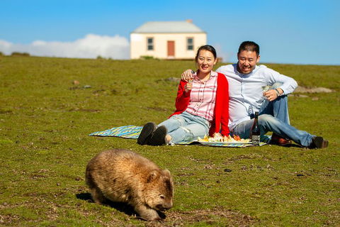 Wineglass Bay And Maria Island Wildlife Scenic Flight From Hobart - Darwin Holiday 2