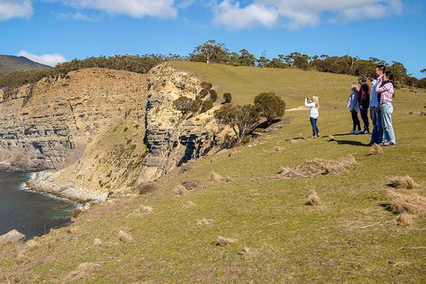 Wineglass Bay And Maria Island Wildlife Scenic Flight From Hobart - Darwin Holiday 5