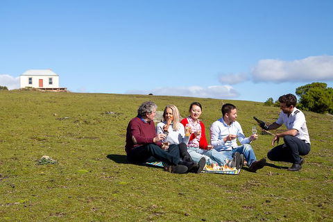 Wineglass Bay And Maria Island Wildlife Scenic Flight From Hobart - Darwin Holiday 6