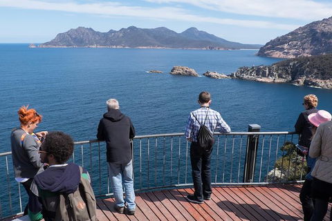 Full-Day Tour To Wineglass Bay From Hobart - Darwin Holiday 6