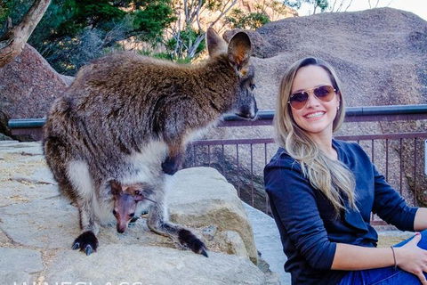 Full-Day Tour To Wineglass Bay From Hobart - Darwin Holiday 9