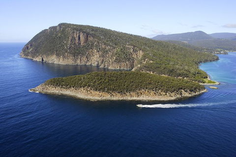 3-Hour Bruny Island Cruise From Adventure Bay - Darwin Holiday 7