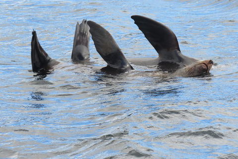 Twilight Sail Bruny Island - Darwin Holiday 7