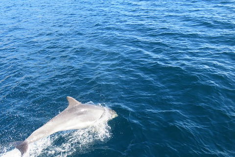 North Bruny Island Day Sail - Darwin Holiday 3