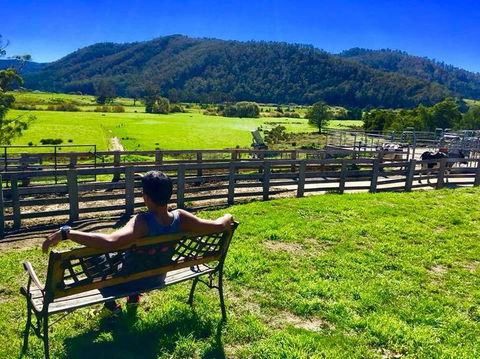 5-Day Lap Of Tasmania Tour From Hobart (flexible Ticket) - Darwin Holiday 2