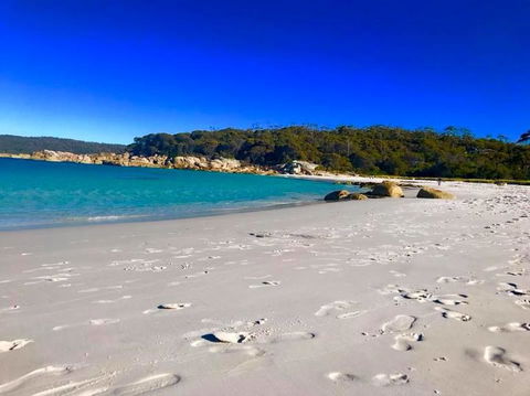 5-Day Lap Of Tasmania Tour From Hobart (flexible Ticket) - Darwin Holiday 6