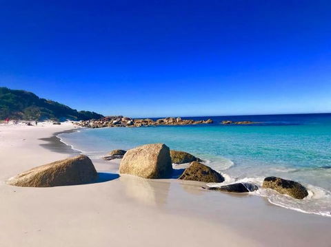 5-Day Lap Of Tasmania Tour From Hobart (flexible Ticket) - Darwin Holiday 5