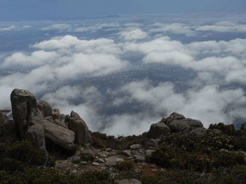 Cruise Ship Special Ex Hobart: Mt Wellington, Richmond, Bonorong With Free WiFi - Darwin Holiday 15