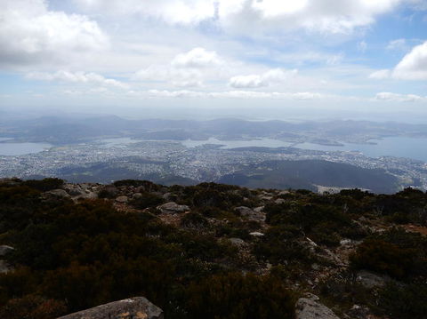 Cruise Ship Special Ex Hobart: Mt Wellington, Richmond, Bonorong With Free WiFi - Darwin Holiday 10