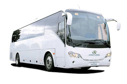 Cruise Ship Special Ex Hobart: Mt Wellington, Richmond, Bonorong With Free WiFi - Darwin Holiday 19