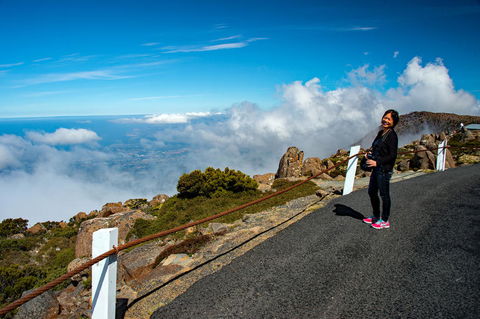 Small-Group Tour From Hobart: Mt Wellington, Bonorong Wildlife Park And Richmond - Darwin Holiday 12