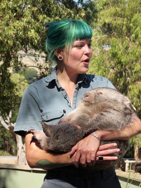 Small-Group Tour From Hobart: Mt Wellington, Bonorong Wildlife Park And Richmond - Darwin Holiday 8