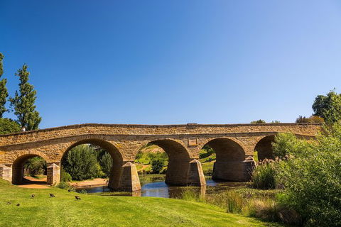 Small-Group Tour From Hobart: Mt Wellington, Bonorong Wildlife Park And Richmond - Darwin Holiday 23