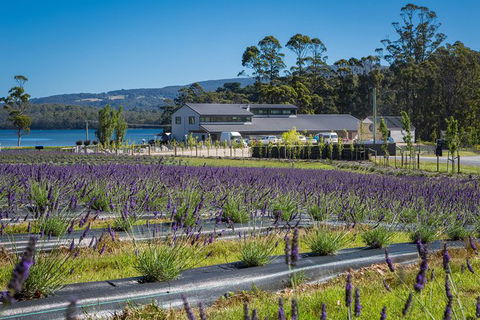 Private Tasman Peninsula Cruise Ship Tour From Port Arthur - Darwin Holiday 0