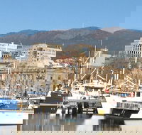 Private Mt Wellington Richmond Bonorong Wildlife Sanctuary Tour from Hobart - Darwin Holiday