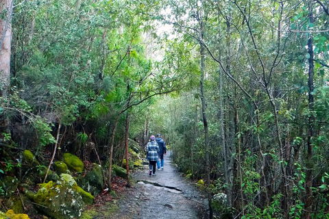 Hobart Hop-On Hop-Off Bus & Kunanyi/Mt Wellington Tour - Darwin Holiday 4