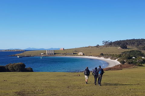 6-Day Best Of Tasmania Hiking Tour From Hobart - Darwin Holiday 1