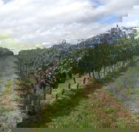 Coal River Valley  Hobart food  wine grazing tour - Darwin Holiday