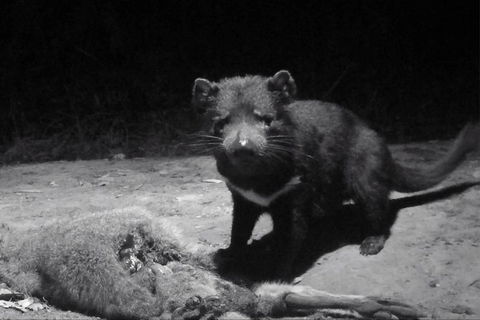 Devil Hide (Overnight Stay, $495 For Up To 3 People) - Darwin Holiday 1